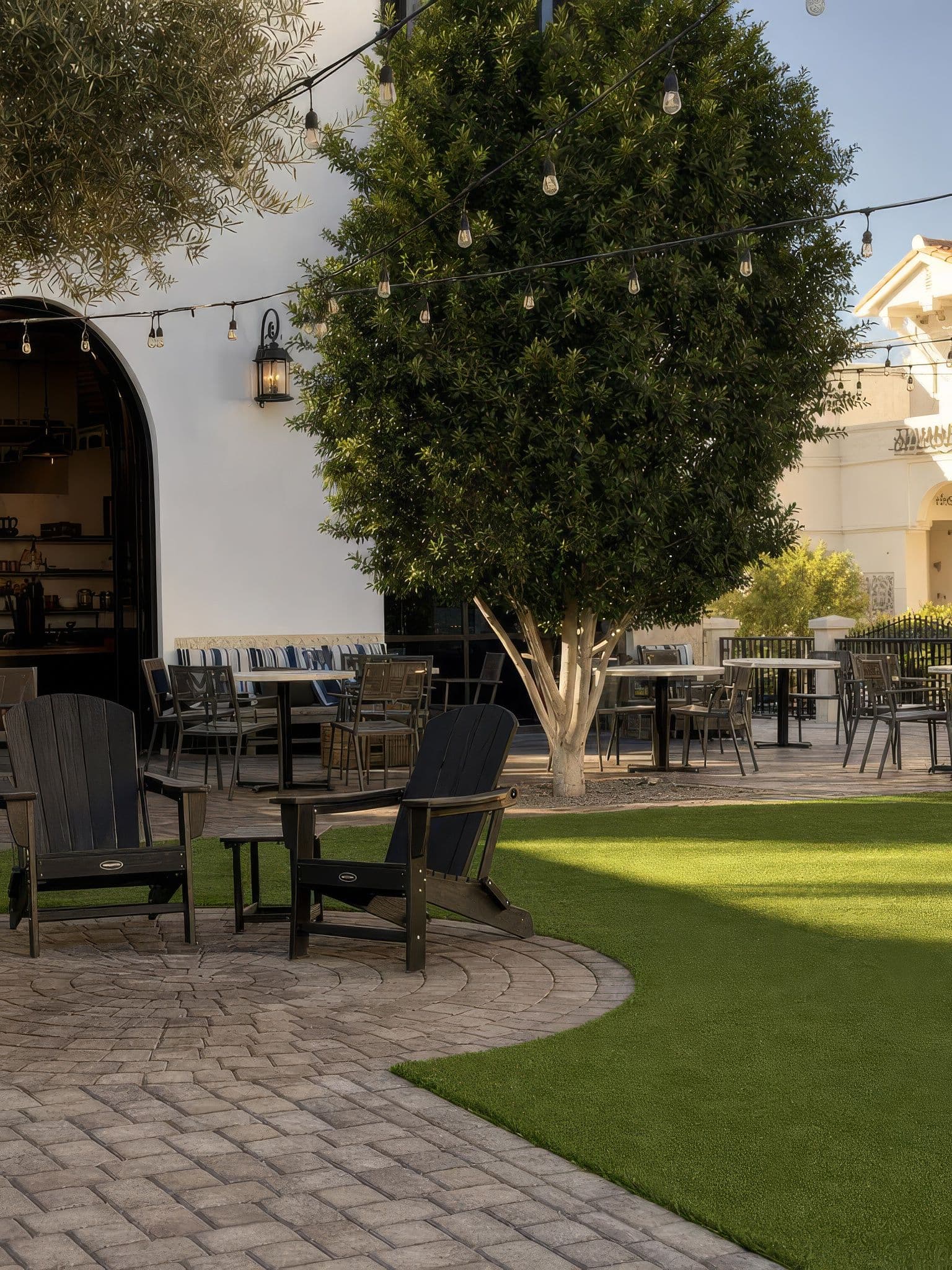 Interior by Palm and Mountain — Bottle and Bean